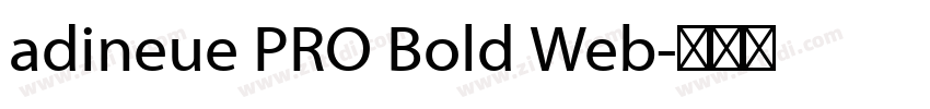 adineue PRO Bold Web字体转换